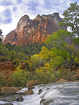 Court of the Patriarchs, Zion National Park Utah