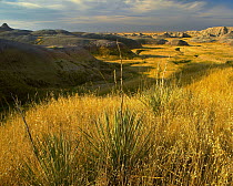 Eroded buttes and prairie in Badlands National Park, South Dakota