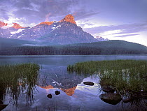 Mount Chephren reflected in lake, Alberta, Canada