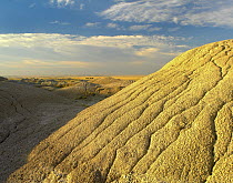 Detail of erosional feature, Badlands National Park, South Dakota