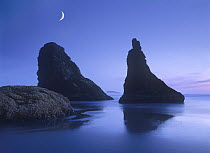 Sea stacks at dusk along Bandon Beach with rising moon, Oregon