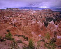 Landscape of eroded formations called hoodoos and fins, Bryce Canyon National Park, Utah