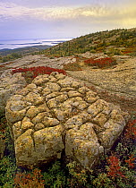 Cadillac Mountain overlooking Atlantic Ocean, Acadia National Park, Maine