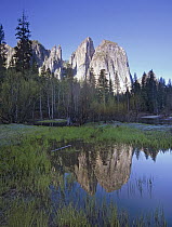 Cathedral Rock reflected in the Merced River, Yosemite National Park, California