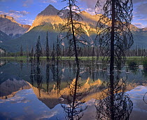 Chancellor Peak reflected in lake, Yoho National Park, British Columbia, Canada