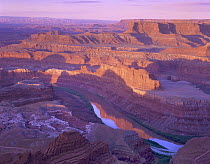 Colorado River flowing through canyons, Dead Horse Point State Park, Utah