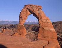 Delicate Arch and La Sal Mountains, Arches National Park, Utah