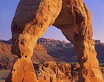 Delicate Arch and La Sal Mountains, Arches National Park, Utah