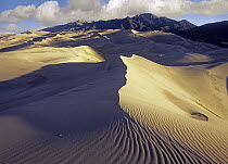 Rippled sand dunes with Sangre de Cristo Mountains in the background, Great Sand Dunes National Park and Preserve, Colorado
