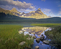 Howse Peak and Mount Chephren, Waterfowl Lake, Banff National Park, Alberta, Canada