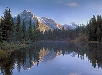 Mount Lorette and spruce trees reflected in lake, Alberta, Canada