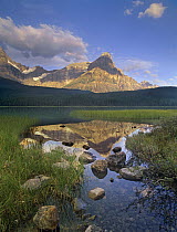 Mount Chephren and Waterfowl Lake, Banff National Park, Alberta, Canada