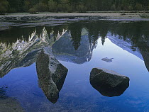 Mount Watkins reflected in, Mirror Lake, Yosemite National Park, California