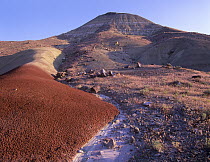 Sedimentary formation in the Painted Hills unit of John Day Fossil Beds National Monument, Oregon