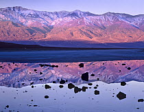 Panamint Range reflected in standing water at Badwater, Death Valley National Park, California