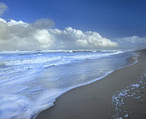 Storm cloud over beach, Canaveral National Seashore, Florida