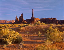 Totem Pole and Yei Bi Chei with sand dunes and shrubs, Monument Valley, Arizona and Utah border