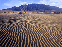 Tucki Mountain and Mesquite Flat Sand Dunes, Death Valley National Park, California