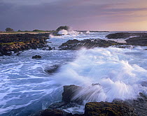 Waves crashing on rocky shore, Wawaloli Beach, Big Island, Hawaii