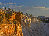 Bryce Point, Bryce Canyon National Park, Utah