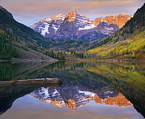 Maroon Bells peaks reflected in Maroon Lake, Snowmass Wilderness, Colorado
