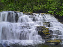 Waterfalls of Upper Cascades, Jefferson National Forest, Virginia