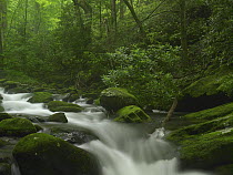 Roaring Fork River flowing through the Great Smoky Mountains National Park, Tennessee