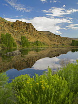 Cliffs reflected in lake, Curecanti National Recreation Area, Colorado