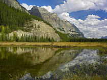 Mount Wilson reflected in lake, along Icefields Parkway, Banff National Park, Alberta, Canada
