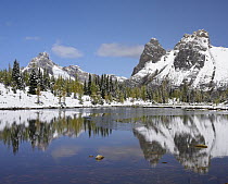Wiwaxy Peaks and Cathedral Mountain at Lake O'Hara, Yoho National Park, British Columbia, Canada
