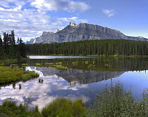 Mount Rundle and boreal forest reflected in Johnson Lake, Banff National Park, Alberta, Canada