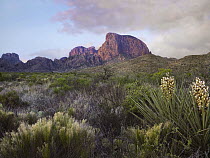 Casa Grande and Chisos Mountains, Big Bend National Park, Chihuahuan Desert, Texas
