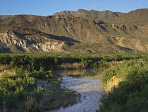 Rio Grande, Big Bend Ranch State Park, Chihuahuan Desert, Texas