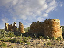 Hovenweep Castle at Little Ruin Canyon, Hovenweep National Monument, Utah