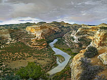 Yampa River flowing through canyons, Dinosaur National Monument, Colorado