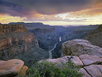 Toroweap Overlook with a view of the Colorado River, Grand Canyon National Park, Arizona