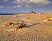 Sand dunes at the Gulf Islands National Seashore, Florida