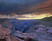 Colorado River under stormy sky seen from the Toroweap Overlook, Grand Canyon National Park, Arizona