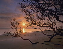 Sunrise at Nassau Sound, Big Talbot Island, Florida