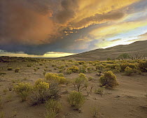 Storm clouds over Great Sand Dunes National Monument, Colorado