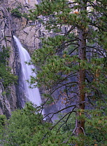 The Cascades from road, Yosemite National Park, California