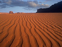 Sand dunes at Monument Valley Navajo Tribal Park, Arizona