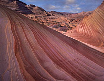 Detail of The Wave, a Navajo sandstone formation in Paria Canyon-Vermilion Cliffs Wilderness, Arizona