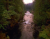Rogue River with rapids, Rogue River National Forest, Oregon