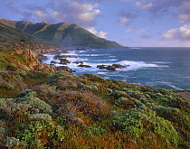 Cliffs and the Pacific Ocean, Garrapata State Beach, Big Sur, California