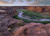 Junction Overlook and the Chinle Wash, Canyon de Chelly National Monument, Arizona