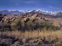 Mount Whitney and the Sierra Nevada from Alabama Hills, California