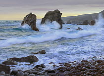 Cove and seastacks near Garrapata State, Beach Big Sur, California