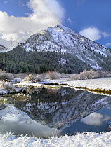 Phi Kappa Mountain reflected in river, Idaho