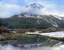 Phi Kappa Mountain and Summit Creek, Idaho